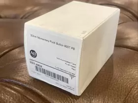 800T-A6D2 ALLEN-BRADLEY Momentary Push Flush