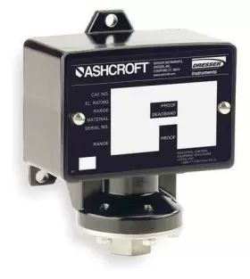 B424VXCYLM100 ASHCROFT Pressure Switch Diaphragm #2