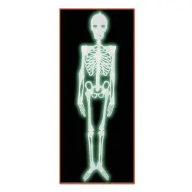 00832 BEISTLE Pack Spooky Nite Glo Jointed Skeleton Halloween
