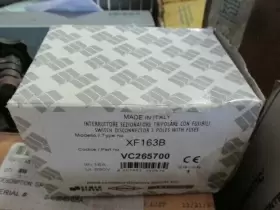 XF163B BREMAS Disconnect Switch