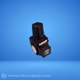 R1100-8-T CKD Reverse Flow Regulator Fnip