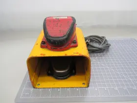 T156486 CLIPPER Pedal Switch #2