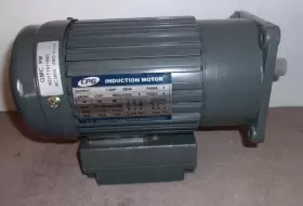 MD1T10110 CPG CHENG PANG MOTOR Induction Gear Reducer