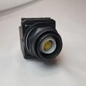 190735246771 DAYTON Push Mounting Metallic Momentary
