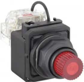190735247099 DAYTON Led Pilot Light Push