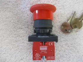 30G256 DAYTON Emergency Key Release #3