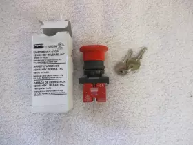 30G256 DAYTON Emergency Key Release