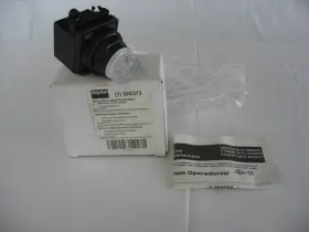 30G373 DAYTON Push Mounting Led Momentary