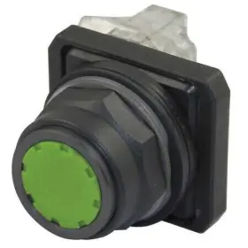 30G441 DAYTON Push