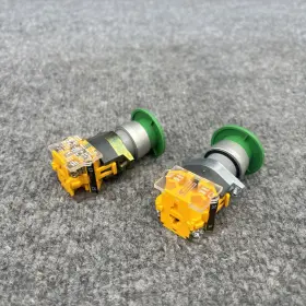 704.075.2 EAO Pushbutton Switch