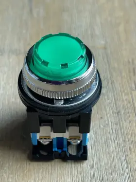 AR30E0L FUJI Electric Push