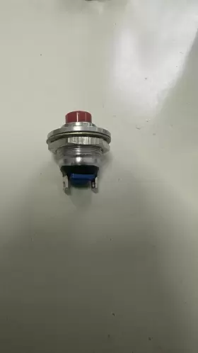 P8-311611C OTTO Pushbutton #2