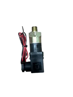 210343 P-S Pressure Switch