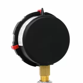 701L-254C PIC GAUGES Gauge Lower Bez #3
