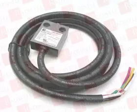 M4-4101-2L-SUB RADWELL VERIFIED SUBSTITUTE Limit Snap Action