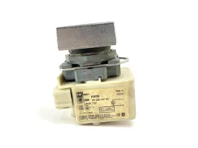 9001KM35 SCHNEIDER ELECTRIC Light Block
