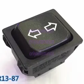 R13-87 Pins Rocker Switch Double