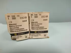 9001D9C1R SQUARE D Mushroom Turn #3