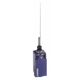 XCKD2106N12 TELEMECANIQUE SENSORS Limit Switch Cat Whisker