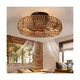 Letmarey 20" Cage Low Profile Bladeless Ceiling Fan with Light and Remote, Fa...