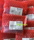 New Rexroth R900174537 GIV50-11 LIMIT SWITCH