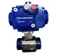 Compact C30 SR-2C Actuator With Habonim Ball Valve 06 FH29W-66MMHG/CTN
