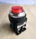 FUJI Illuminated Red Pushbutton / Disney Parks Ride Button AR30E0L