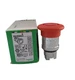 ZB4BS844 SCHNEIDER ORIGINAL NEW IN BOX one