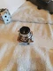 Culter Hammer Eaton 10250T/91000T 10250T30B Operator STD Button Black Pushbutton