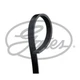 V-ribbed belt Micro-V&reg; GATES 4PK855 for Audi A4 Avant A4