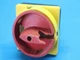 Kraus & Naimer CA20B Switch w/ Breakage
