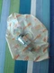 513-0401-604 - DIALIGHT - Non-Illuminated PUSH BUTTON Switch New In Packagge NOS