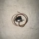 Carrier HH22HA231 Temp Actuated Switch