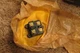 Micro-Switch Contact Block Honeywell 2MN8-1PA39