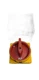 KG41B.T20301.E - KRAUS & NAIMER - KG41B.T203/01.E / Switch New