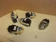 General Electric Switch CR104E 122 , lot of 5
