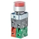 Dayton Illuminated Push Button, 22 mm, 1