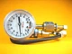 Whitman Controls - W117G-10H-K12L-X - Pressure Switch w/ Span Gauge 0-100PSI
