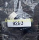 1PC Festo P-22-SW 9293 Mushroom Head Button New Free Shipping P22SW