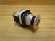 Allen Bradley 800T-FXQL24RA1 Push/Pull Button 800T-XA