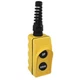 Dayton Pendant Station,2NO,Yellow 20C812 Dayton 20C812 190735152287