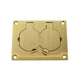 WIREMOLD WALKER LEGRAND 828R DUPLEX COVER PLATE OBX, BRASS