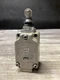 Omron WLD28-LD-N Limit Switch 115Vac 10A 115Vdc 1A 250Vac 48Vdc #124N94*AC
