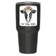 Cow Not Today Heifer Vinyl Decal Sticker (2 Pack) | Cars Trucks Vans SUVs Win...