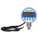 MEASUREMAN 3-1/8" Dial Size Stainless Steel Industrial Digital Pressure Control