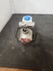 ITT General Controls K3A452 Magnetic Gas Solenoid Valve 120v 1/2"