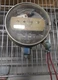 Honeywell C437H-1001-2 Gas Pressure Limit Switch