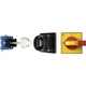 Kraus & Naimer KG64B.T203/12.VE Door Lock Disconnector 63 A 1 x 90&deg; Ros