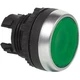 BACO L21AH20 Green Plate Illuminated Button