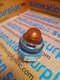 IDEC APD199DN-A-24V AMBER STD PILOT LIGHT NEW QUANTITY!! 1 INCH WOW!